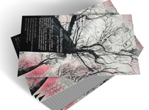 Ney Caputo - Impresso Folder