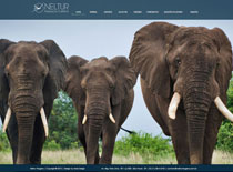 Neltur Viagens - Web Site